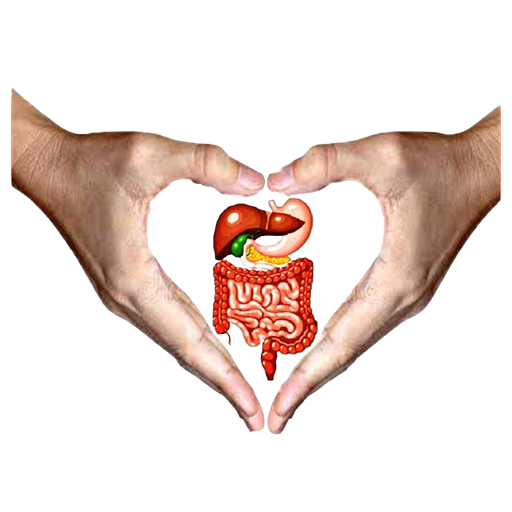 Gastro Care Namakkal: Your Path to Digestive Health